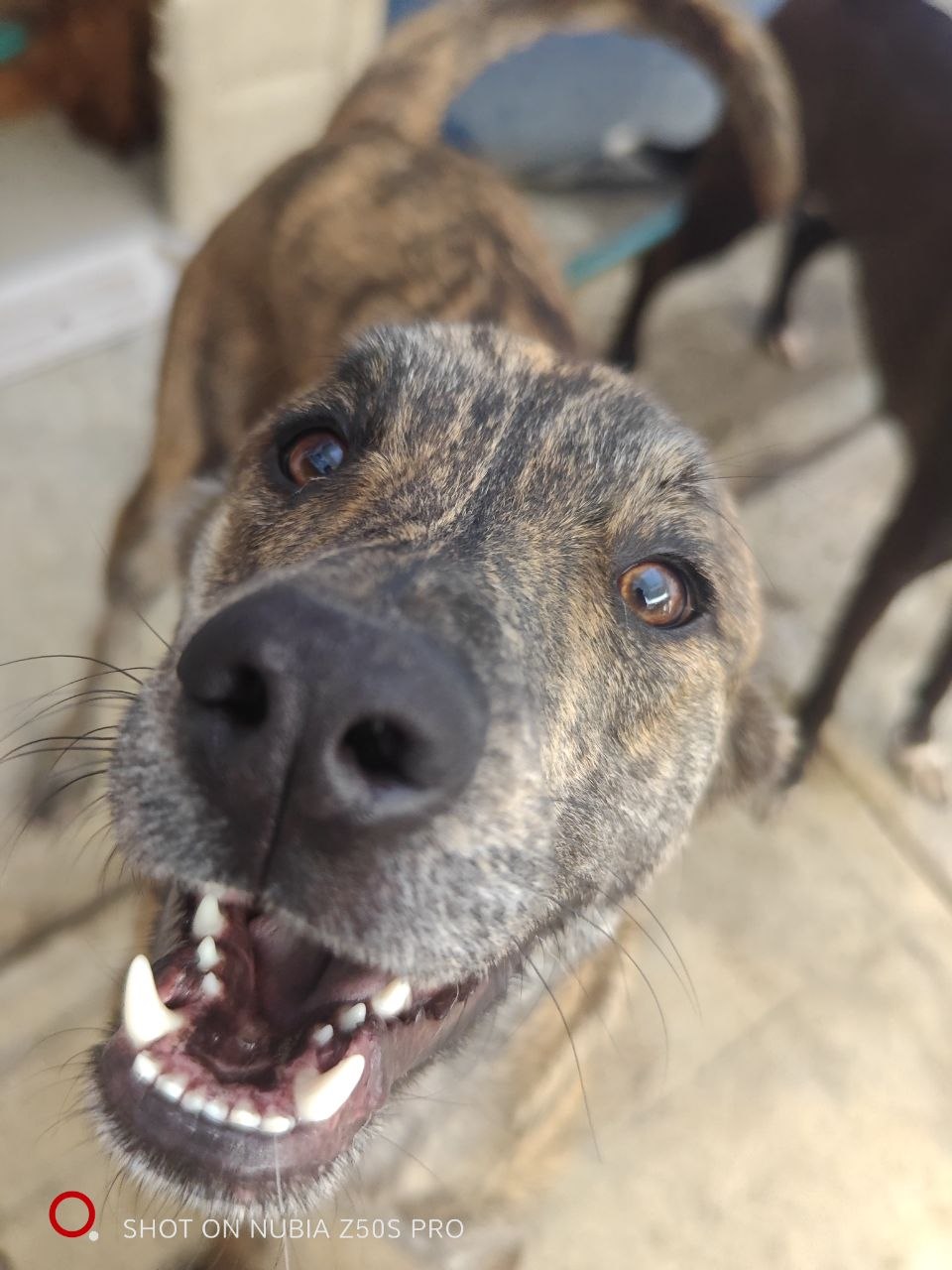 Zeus
